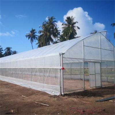 China Vegetables Growing Natural Ventilation Vegetables Planting Duct Top Sawtooth Rooftop Greenhouse in Sri Lanka for sale