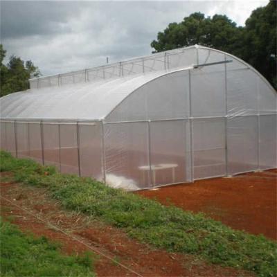 China Tropical Vegetable Area Plants Growing Plastic Film Tunnel Sawtooth Greenhouse With Ventilation System for sale