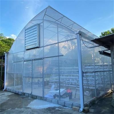 China Tropical Low Cost Agriculture Sri Lanka Vegetable Greenhouse Plastic Sheet Single Span Top Sawtooth Duct Greenhouse for sale