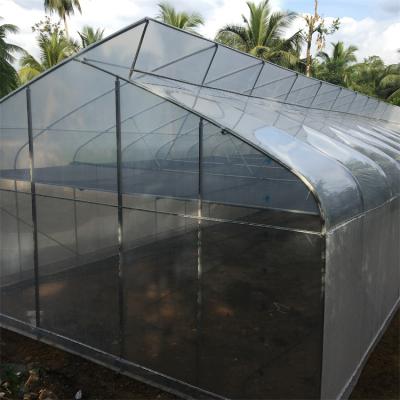 China Vegetables Steel Pipe Hot Dip Galvanized Plastic Sheet Covered Agricultural Greenhouse Sawtooth Greenhouse for sale