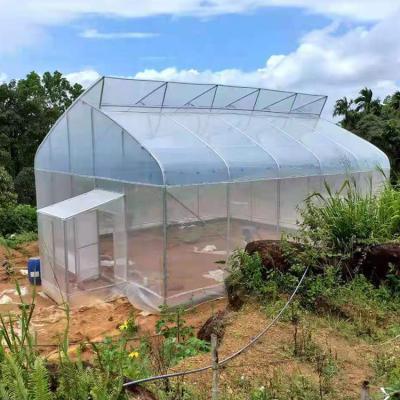 China Vegetables Galvanized Steel Pipe Plastic Sheet Tarpaulin High Tunnel Tropical Sawtooth Greenhouse Structure for sale