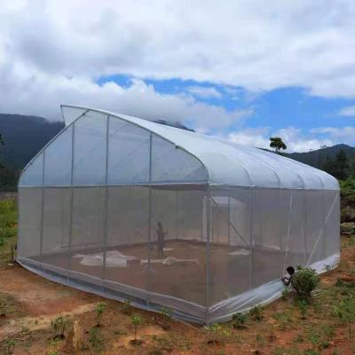 China Tropical Vegetable Duct Greenhouse Cross Top Plastic Sheet Covered Agricultural Sawtooth Greenhouse for sale