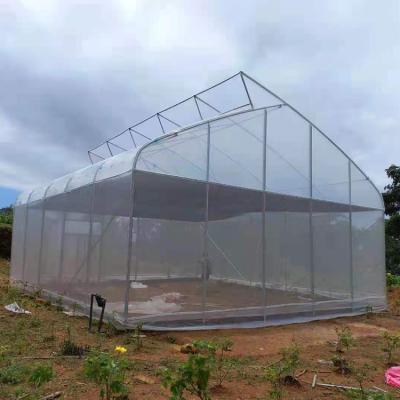 China Vegetable Agriculture Plant Growing Cheap Plastic Single Span Tunnel Greenhouse Sawtooth Greenhouse for sale