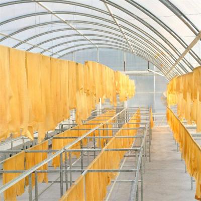 China Stable Structure Easily Assembled Natural Rubber Sun Dryer Solar Tunnel Poly Dryer Greenhouse for sale