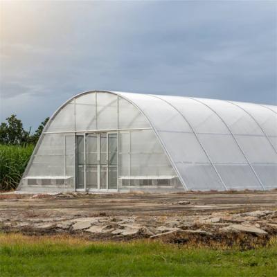 China Stable Structure Easily Assembled Natural Rubber Drying Solar Dryer Greenhouse for sale