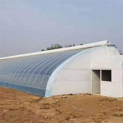 China Stable Structure Easily Assembled Cold Area Agricultural Lean To Low Cost Passive In-solar Greenhouses Traditional Passive Solar Greenhouse for sale