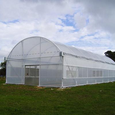 China Vegetable fruit flowers galvanized steel frame single span pe film greenhouse for agriculture low cost tunnel greenhouse for flower plant for sale