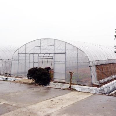 China Fruits Flowers Vegetables Growing Plant Single-span Tunnel Vegetable Farm Greenhouse With Irrigation And Hydroponic Growing System for sale