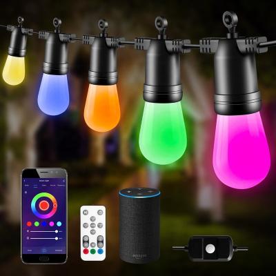 China 2022 Outdoor Waterproof Outdoor String Lights SYLSTAR RGB IP65 String Lights with Commercial Grade Lights with Sockets LED Fairy Hanging String Lights for sale