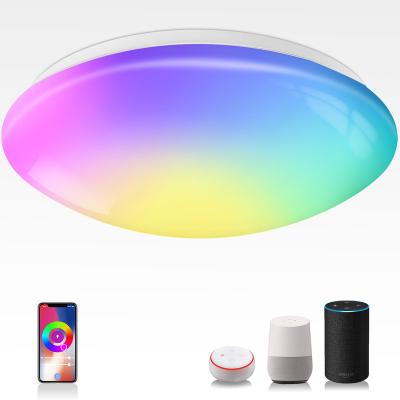 China IP54 Voice Control RGB Tuya App Control TDC Waterproof Energy Saving White Color Dimmable Smart Led Ceiling Light 20W Wifi for sale