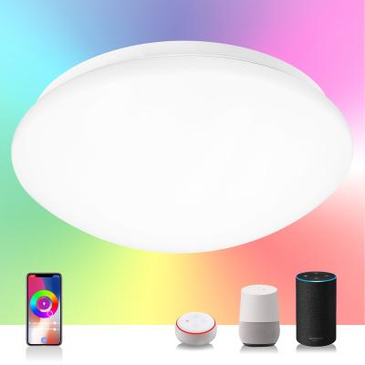 China Waterproof IP54 20W RGBCW Smart Dimmable Fancy Bedroom Lighting Modern Decorative Ceiling Light For Living Room for sale