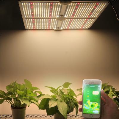 China High Quality High Power Full Spectrum Dimable ppfd SYLSTAR hydroponic led board grow lights for indoor plant for sale