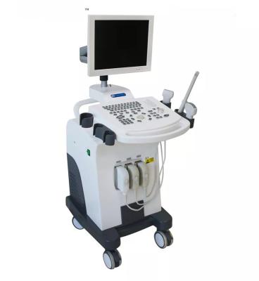 China B/W Metal Ultrasound Trolley B Trolley Black White Mobile Ultrasound Scanner Medical Portable Mobile Ultrasound Machine for sale