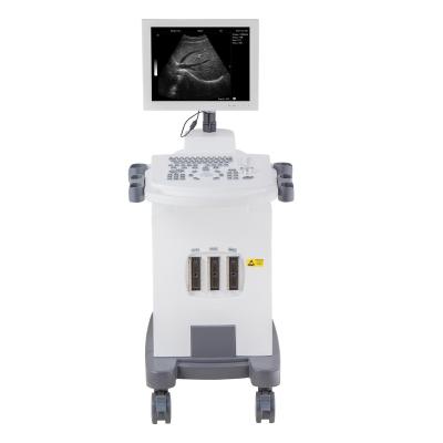 China PC Based Metal B/W Systems Full Digital Windows Ultrasound Scanner With Cart Full Digital Windows Systems for sale