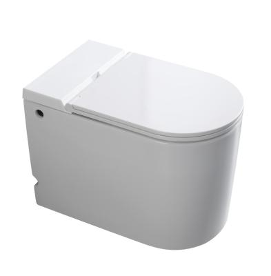 China DF Modern Hotel Bathroom Ceramic Wc Back To S Trap Wall Mounted Toilet for sale