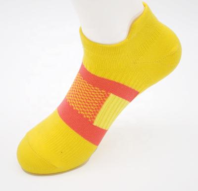 China Hot Selling Cotton Comfortable Sports Socks Breathable Running Cycling Cycling Quick Drying Socks for sale