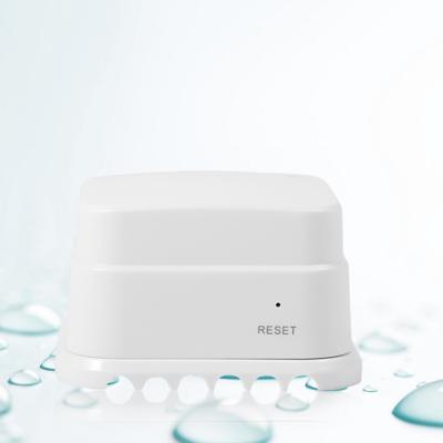 China Wholesale WiFi Tuya Smart Water Sensor Detector for House Security Sink Basement No Hub Need Remote Monitor for sale