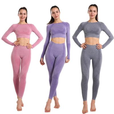 China Factory Direct Sales Breathable Ladies Shape Sportswear Nylon Body Shaping Suit Jogging Yoga Seamless Set for sale