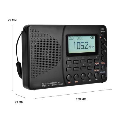 China PORTABLE Multifunctional Digital Radio Hot Selling FM/SW/AM MP3 Player LCD Display LCD Display BT Stereo Speaker for sale