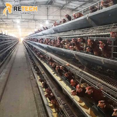 China Full Automatic Fully Automatic Feeding System Egg Chicken Battery Cage System For Egg Layer Hens In Zambia for sale