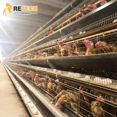 China Commercial Chicken Poultry Farming Equipment Chicken Layer Feeding Cage Fully Automated Battery Installation for sale