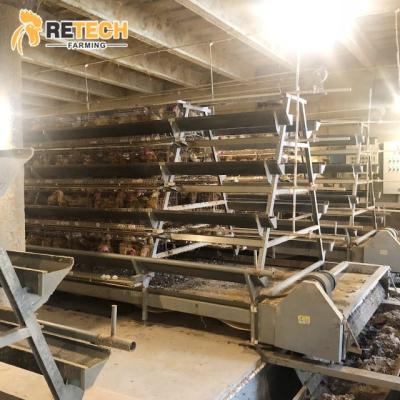 China Hot Sale A Type Semi Automatic Manual Layer Chicken Farming Battery Cage for sale