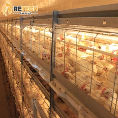 China Broiler Farming Modern Automatic Broiler Chicken Farm Equipment H Type Poultry Broiler Cage For Nigeria for sale