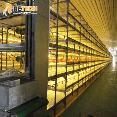 China Truss H Type Cage Automatic Broiler Battery Feeding System for sale