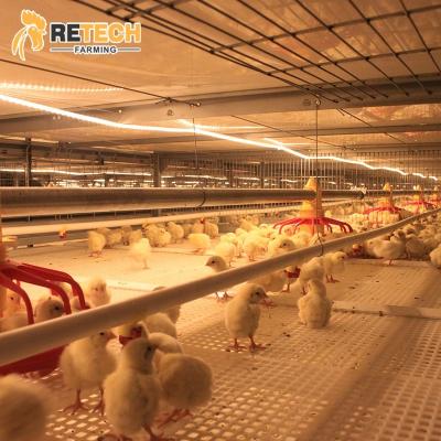 China Broiler Farming Fully Automatic Battery Chicken Broiler Cage Broiler H Type Poultry Farming System for sale