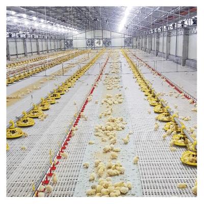 China Farms Advanced Full Automatic Water Drinker Broiler Chicken Design Drinking Line System Poultry Farming Equipment For Sale for sale