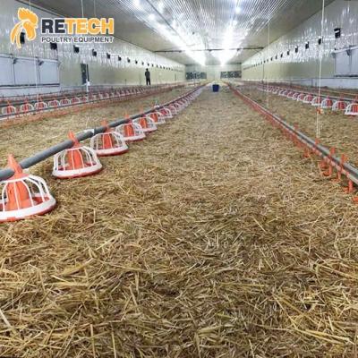 China Automatic Poultry Farming Equipment Poultry Broiler Raising Equipment for sale