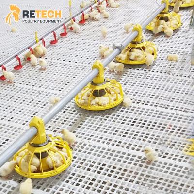 China Poultry Farm Equipment Broiler Floor Raising Equipments Complete Automatic Chicken Farming Feeding System for sale