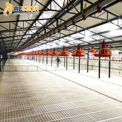 China Poultry Farming Equipment Automatic Broiler Broiler Raising Pan Feeding System for 50000 Chicken Shed for sale