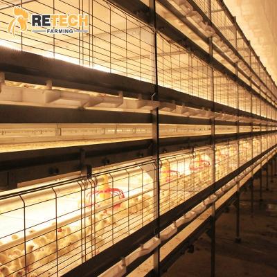 China Commercial Chicken Feed Automated Broiler Poultry Farming Equipment Chicken Feeding And Drinking System for sale