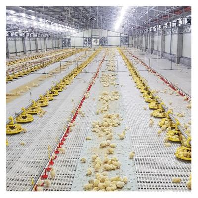 China Broiler Chicken Farming Fully Automatic Modern Broiler Floor Feeding System Poultry Design Chicken Pan Feeding System Equipment for sale