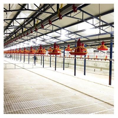 China Automatic Broiler Poultry Framing House Chicken Breeding Equipment for sale