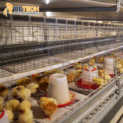 China Full Automatic Hot Dipped Galvanized One Type 3 Tiers Automatic Layer Chicken Pullet Cage for sale