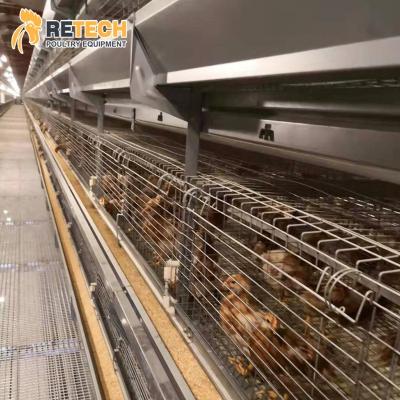 China Easy Install Automatic Chicken Birds Battery Cages From RETECH Pullet Cage Maker for sale