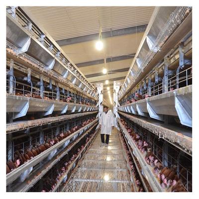 China Commercial Chicken Feeding Good Price Chicken Farming Automatic Battery Poultry Farming Equipment for sale