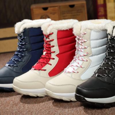 China Disposable New Arrive Women's Winter Classic Boots Women's Warm Boots Fur Plush Insole Ankle Boots Suede Heels Women's Shoes for sale