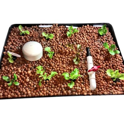 China Horticulture Hydroponics Horticultural Ceramsite/Clay Balls Grown As Planting Medium for sale