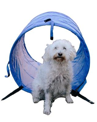 China Sustainable dog tunnel training small and medium dogs park playground toyslarge obstacle course for sale