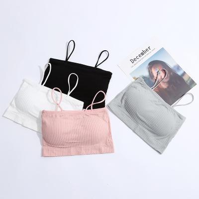 China Antibacterial Women's Solid Color Underwear Bras Seamless Sexy Straps Bras Top Chest Wraps for sale