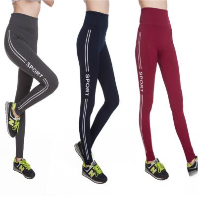 China Breathable Gym Fitness Gaiters Workout High Waist Womens Sports Yoga Lady Seamless Legging for sale