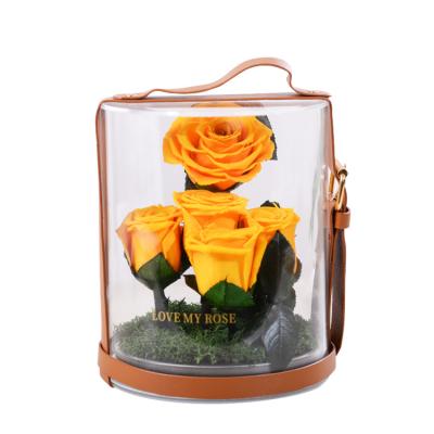 China Best Rose Flower Multiple Colors Luxury Rose In Acrylic Box Preserved by Celebration Valentine's Day Gift Style for sale