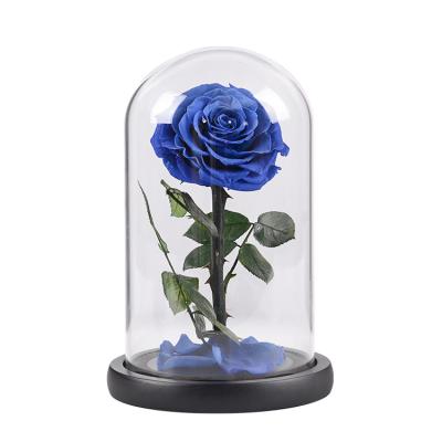 China Factory Wholesale Top Selling Rose Heart Preserved Roses Flower Valentine's Day Valentine's Day Gift in Glass Dome for sale