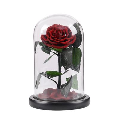 China Romantic Real Preserved Rose 2022 Dome Glass Natural Christmas Preserved Roses Long Lasting Roses Top Selling Roses for sale