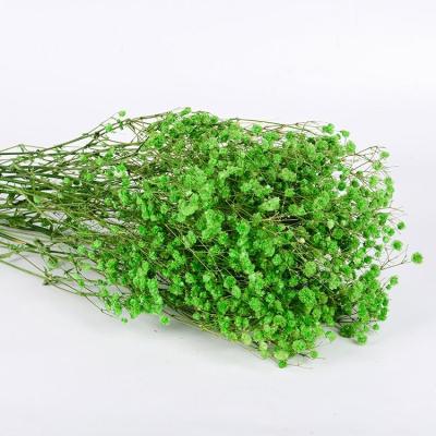 China Dry Preserved Flower Arrangement Baby's Breath Gypsophila Flower Hotel Christmas Decor Wedding Home Decor Dried Flowers for sale