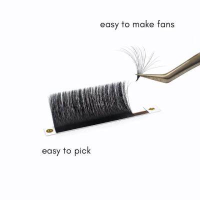 China Wholesale Easy Fan Eyelash Blooming Segmented Eyelash Individual Grafting Segmented Segment Diy Lash Extensions Kit for sale