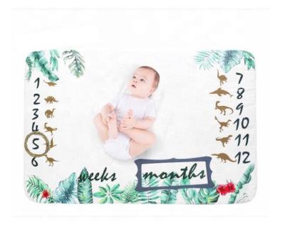 China 2021 Wholesale Baby PORTABLE Newborn Muslin Milestone Monthly Blanket for sale